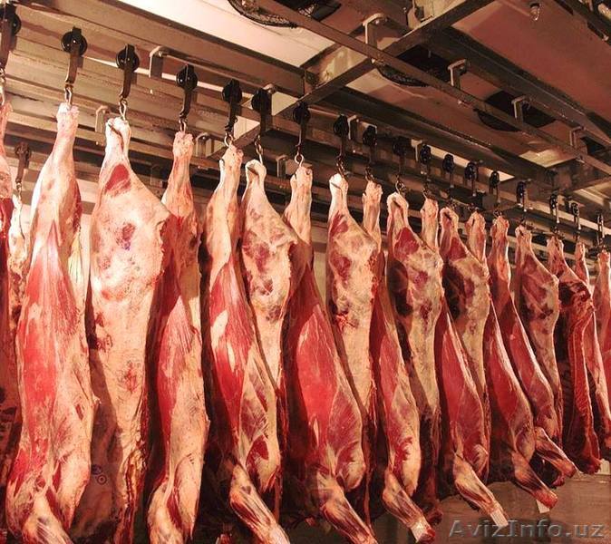 Мясо - Изображение #1, Объявление #1635171