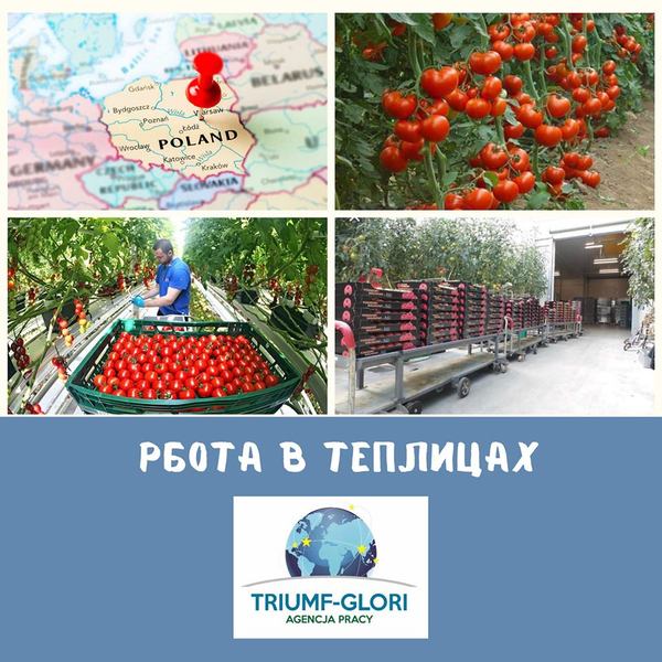 фабрики и заводы - Изображение #1, Объявление #1670376