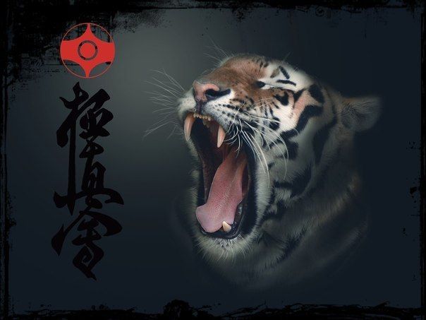 Требуется Менеджер по развитию продаж на экспорт (со знанием английского языка) - Изображение #1, Объявление #1685480