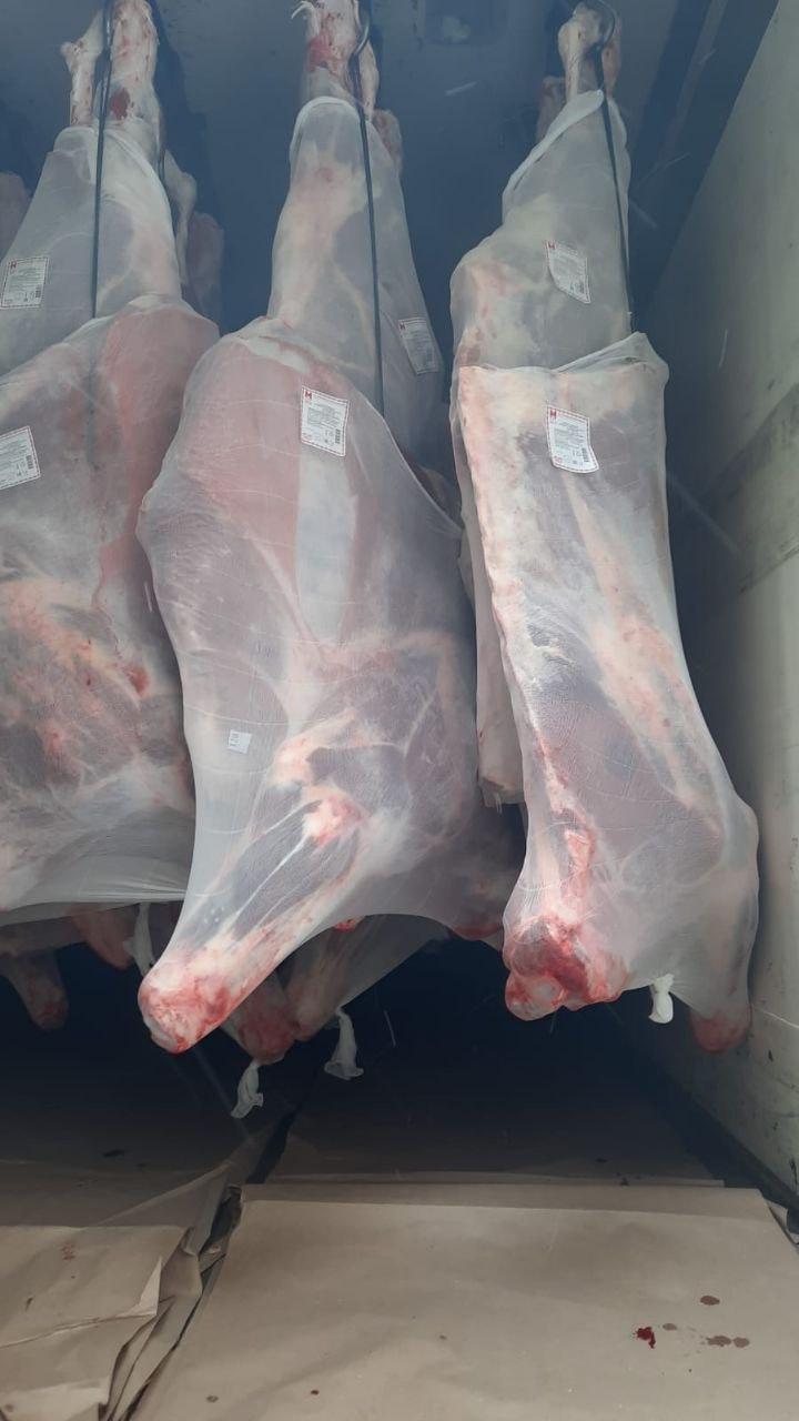 BEAR(BULL)HALAL,Belorusiyada ishlab chiqarilgan; ГОВЯДИНА (БЫК) ХАЛЯЛЬ, БЕЛАРУСЬ - Изображение #1, Объявление #1706996