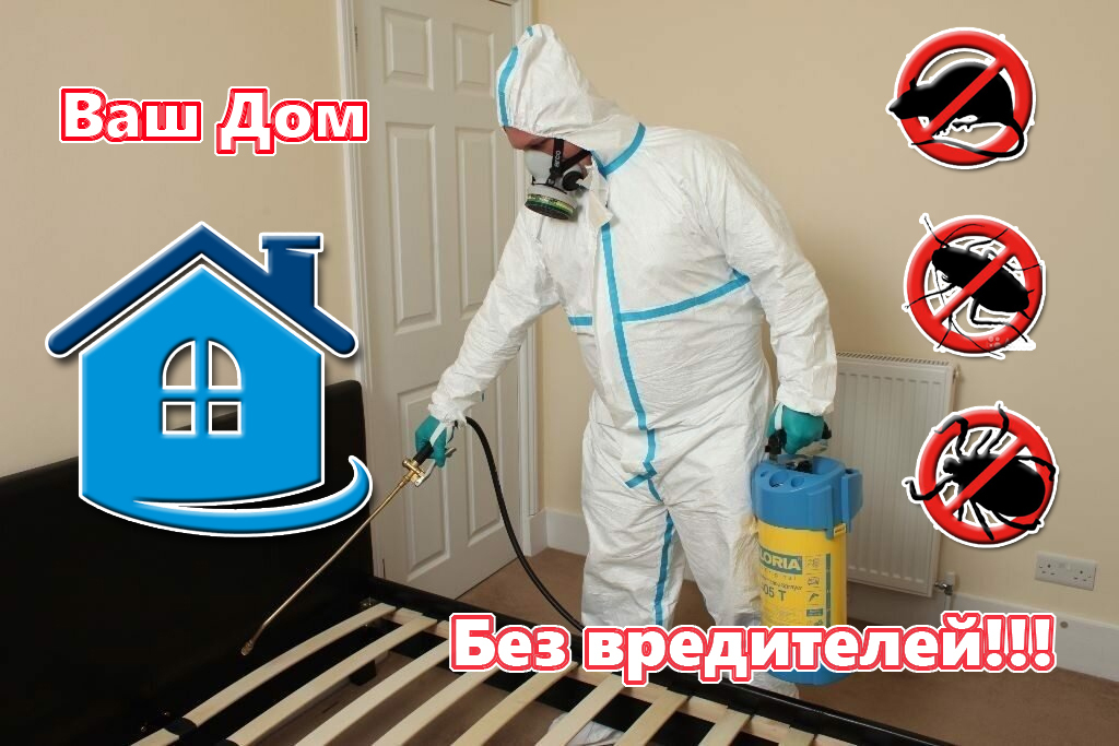 супер дезинфекция - Изображение #1, Объявление #1708694