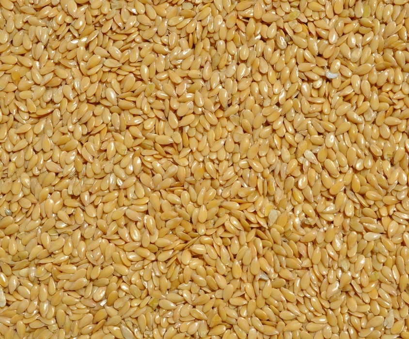 Лен золотистый  - Изображение #1, Объявление #1718024