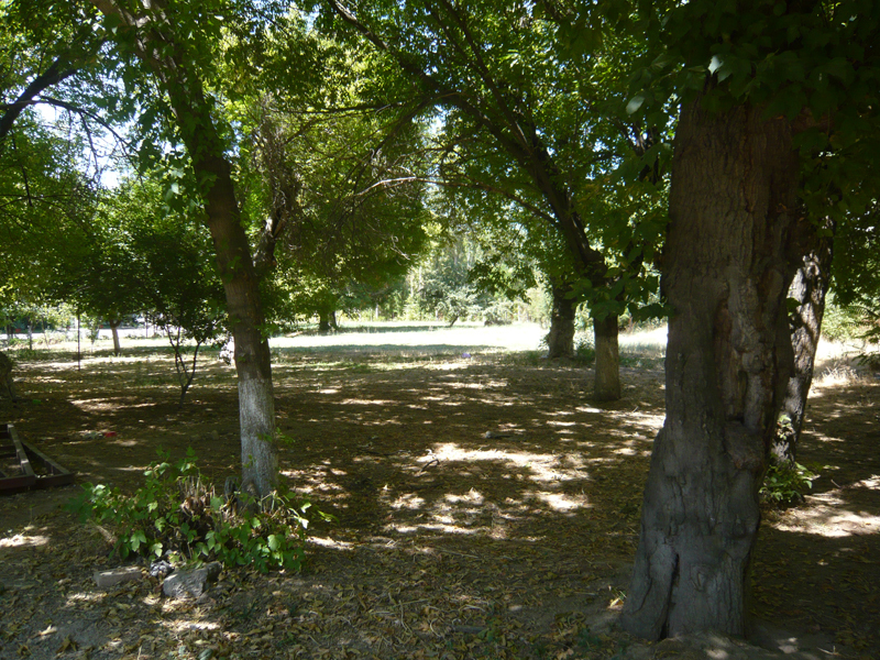 Куплю Участок. - Изображение #1, Объявление #1730002