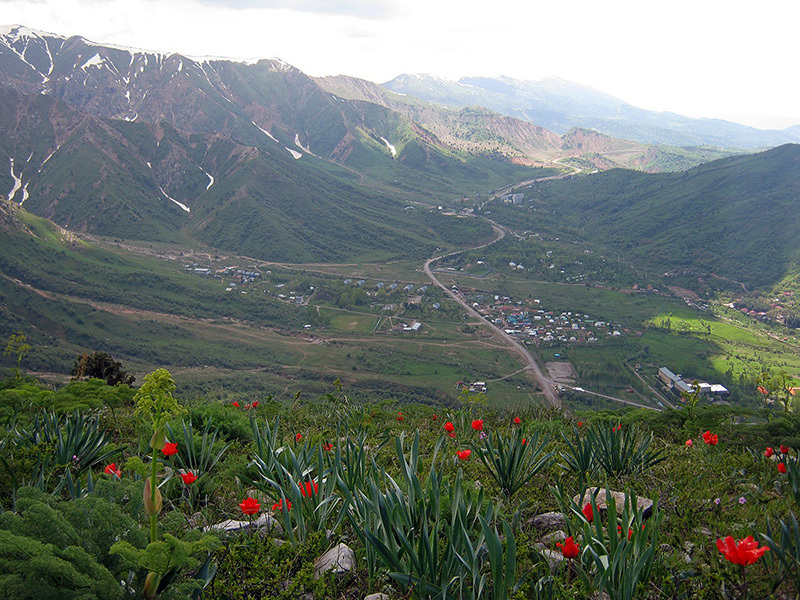Такси в Чимган, Амирсай, Чарвак, Бочка - Изображение #1, Объявление #1734820