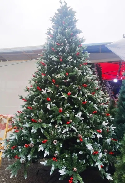 Ёлка 5 метровая. Доставка. Ташкент - Изображение #1, Объявление #1747475