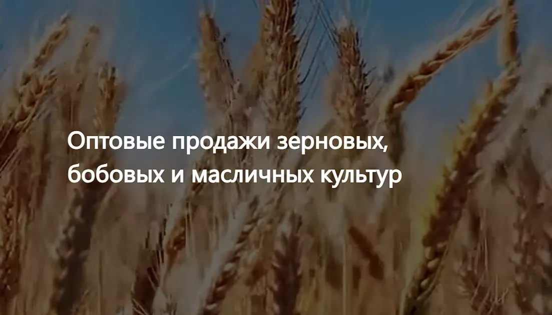 ООО Агропром - оптовая реализация продуктов питания в Узбекистане - Изображение #1, Объявление #1752464