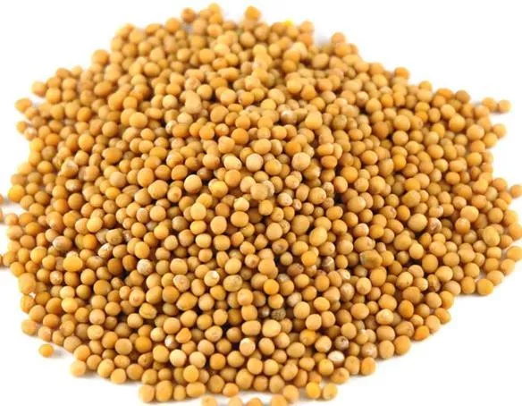 Горчица жёлтая - Изображение #1, Объявление #1718027