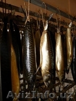 Камеры для холодного копчения «Термикс-К» - Изображение #2, Объявление #13028