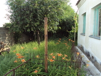 Продам дом в ташкентской области - Изображение #2, Объявление #85428