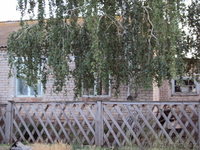 Продам дом недорого в экологически чистом районе Самарской области - Изображение #1, Объявление #96861