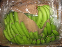 море фруктов почти даром - Изображение #1, Объявление #113982