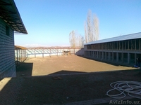 Животноводческие фермы. Продам готовый фермерский место 30 сот - Изображение #6, Объявление #805004