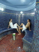  Лечение на курортах Рогашка Слатина (Словения) - Изображение #1, Объявление #904115