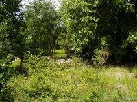 продам дачу паркентском районе - Изображение #1, Объявление #912727