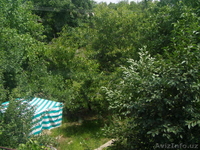 продам дачу паркентском районе - Изображение #2, Объявление #912727