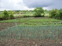 два дома в одном дворе - Изображение #3, Объявление #944535