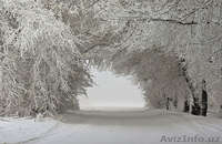 срочно продаю3/2/9 - Изображение #2, Объявление #952044