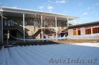 asilhan998946466926 - Изображение #2, Объявление #1013084