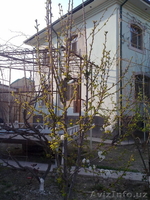 Продам собственный дом на Юнусабаде, 7 комнат, 8 соток - Изображение #6, Объявление #1047420