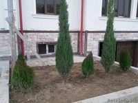 Квартиры. первый и третий этаж. - Изображение #2, Объявление #1356857