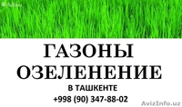 Газоны. Озеленение. Дизайн. Гарантия качества! - Изображение #2, Объявление #1445865