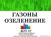 ЕвроГазоны посев и готовые газоны в рулонах -Ландшафтный дизайн, газоны посев и  - Изображение #2, Объявление #1535149