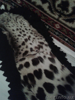 Шкура Леопарда - Изображение #4, Объявление #1601285