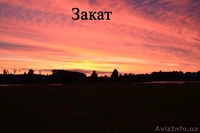 Жилой кирпичный дом на берегу озера. Беларусь - Изображение #10, Объявление #1600463