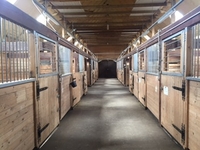 Имение в Латвии - Изображение #4, Объявление #1655033