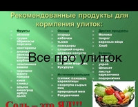Продаются улитки косметологические - Изображение #4, Объявление #1725559