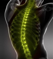 VALEO CENTER - Изображение #2, Объявление #1728988