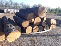 Круглый лес бука, дуба, ясеня, 1; 2 сорта. - Изображение #4, Объявление #1729435