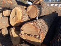 Круглый лес бука, дуба, ясеня, 1; 2 сорта. - Изображение #5, Объявление #1729435