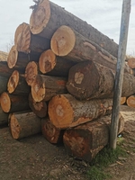 Круглый лес бука, дуба, ясеня, 1; 2 сорта. - Изображение #3, Объявление #1729435