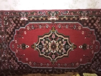 Паласы б/у - Изображение #2, Объявление #1736727