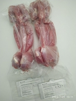 Оптовая продажа мясо кролика по Узбекистану - Изображение #4, Объявление #1740796