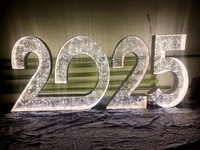 Цифры нового года , 2025 , - Изображение #2, Объявление #1747390