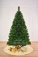 Новогодние ёлка Сибирь со склада, густая . Доставка - Изображение #2, Объявление #1747371