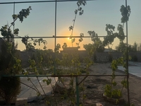 Продается дача в стороне Ташморя - Изображение #3, Объявление #1750360