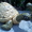 Скульптуры ручной работы уток, черепах из бетона - Изображение #4, Объявление #226623