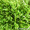Artgrass.uz - искусственный газон #417751