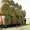 тракторныя прицепы для перевозки кормов - Изображение #5, Объявление #429263