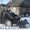 трактор мтз-892 с погрузчиком - Изображение #2, Объявление #621235