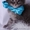 Клубные котята мейн-кун из питомника - Изображение #1, Объявление #676288
