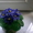Бисерные деревья и цветы - Изображение #5, Объявление #948125