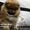 Шикарнейшие мини-щенки карликового померанского шпица SHOW-Classa!!! - Изображение #7, Объявление #1089675