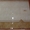 КАФЕЛЬ (на стенные и половые) в АССОРТИМЕНТЕ. (РОСС, КИТАЙ, Сырдаря),  цены #1214672