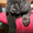 продам щенков тибетского мастифа - Изображение #1, Объявление #1230842