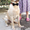 Продается элитный щенок лабрадора ретривера - Изображение #8, Объявление #1339164