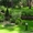 Газоны, озеленение, ландшафтный дизайн Ташкент - Изображение #1, Объявление #1375586